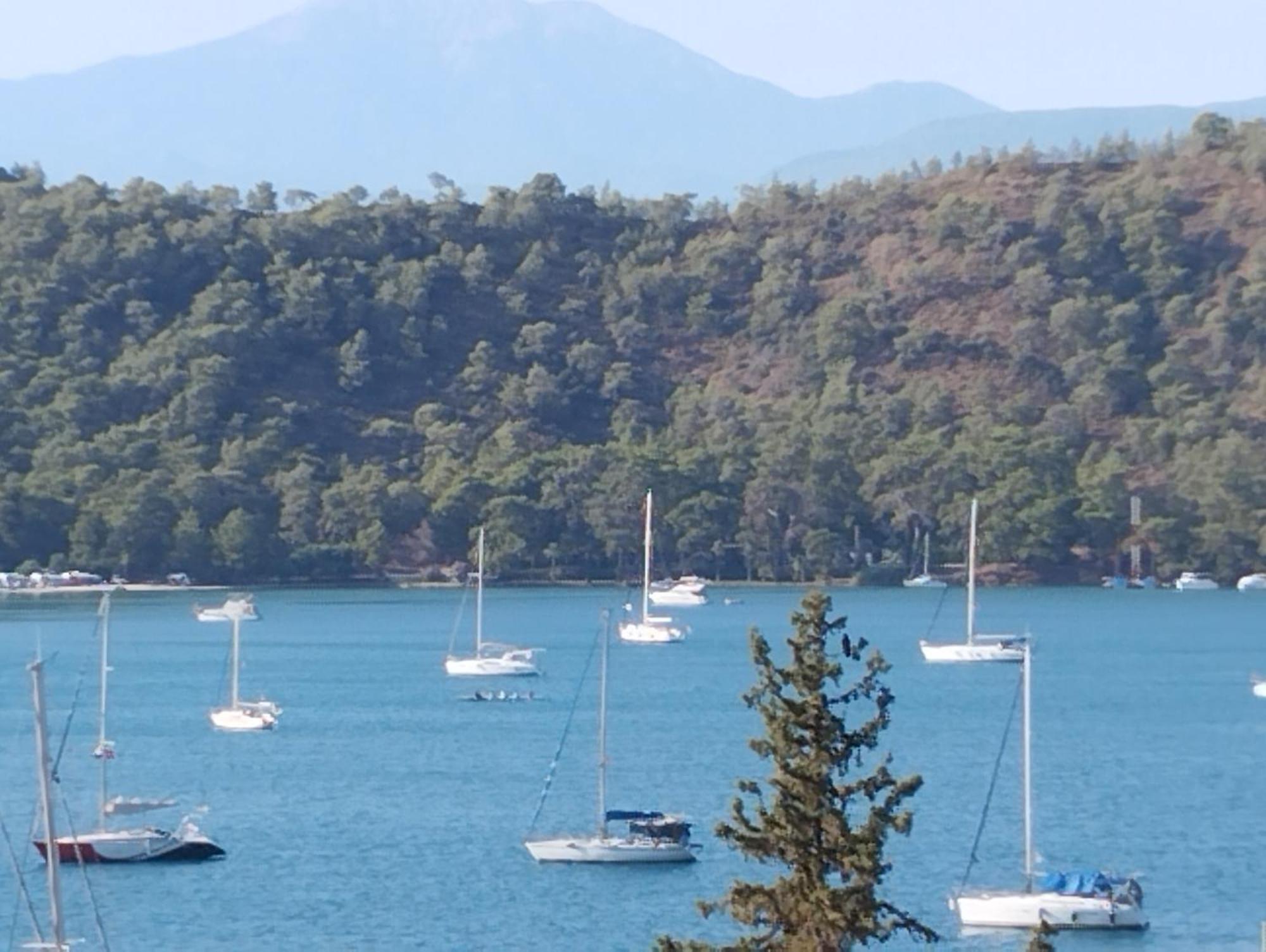 Duygu Apart Spellbinding Sea Views Fethiye Room photo